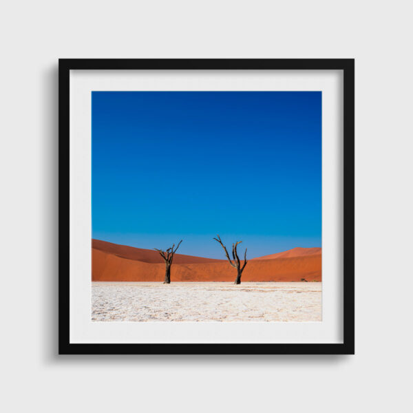 Solitude eternelle Deadvlei Sossusvlei Namibie Photo Sebastien Desnoulez Photographe une image pour rever passe partout